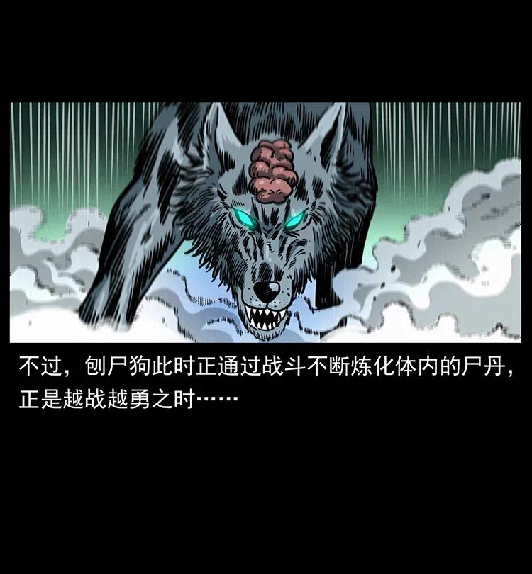 幽冥诡匠 363 丹鼎 第41页