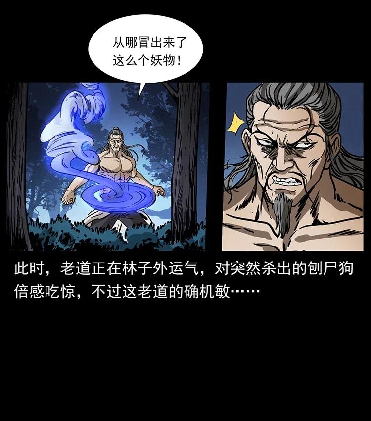 幽冥诡匠 363 丹鼎 第47页