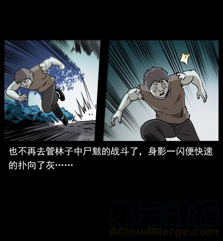 幽冥诡匠 363 丹鼎 第58页