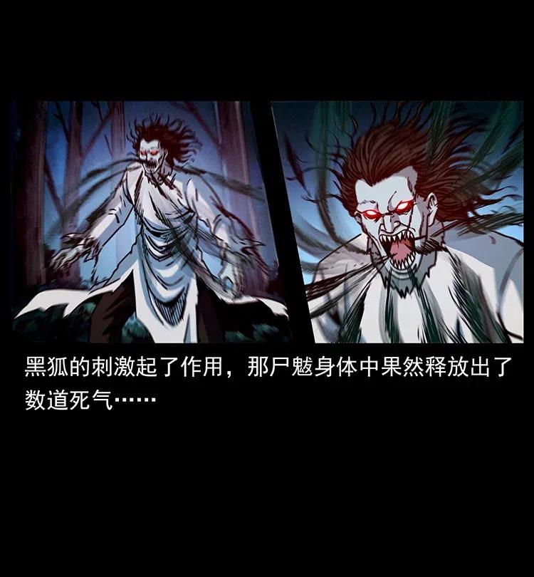 幽冥诡匠 364 亦魔亦道 第72页
