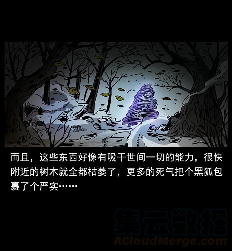 幽冥诡匠 364 亦魔亦道 第79页