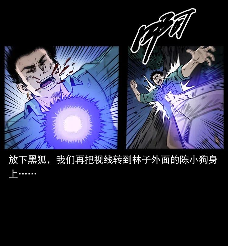 幽冥诡匠 364 亦魔亦道 第80页