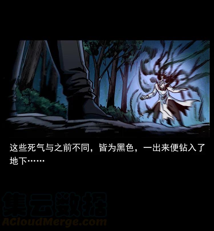 幽冥诡匠 364 亦魔亦道 第73页