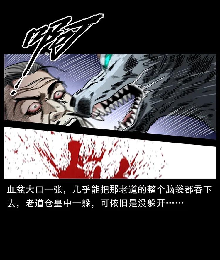 幽冥诡匠 365 死的诅咒 第35页