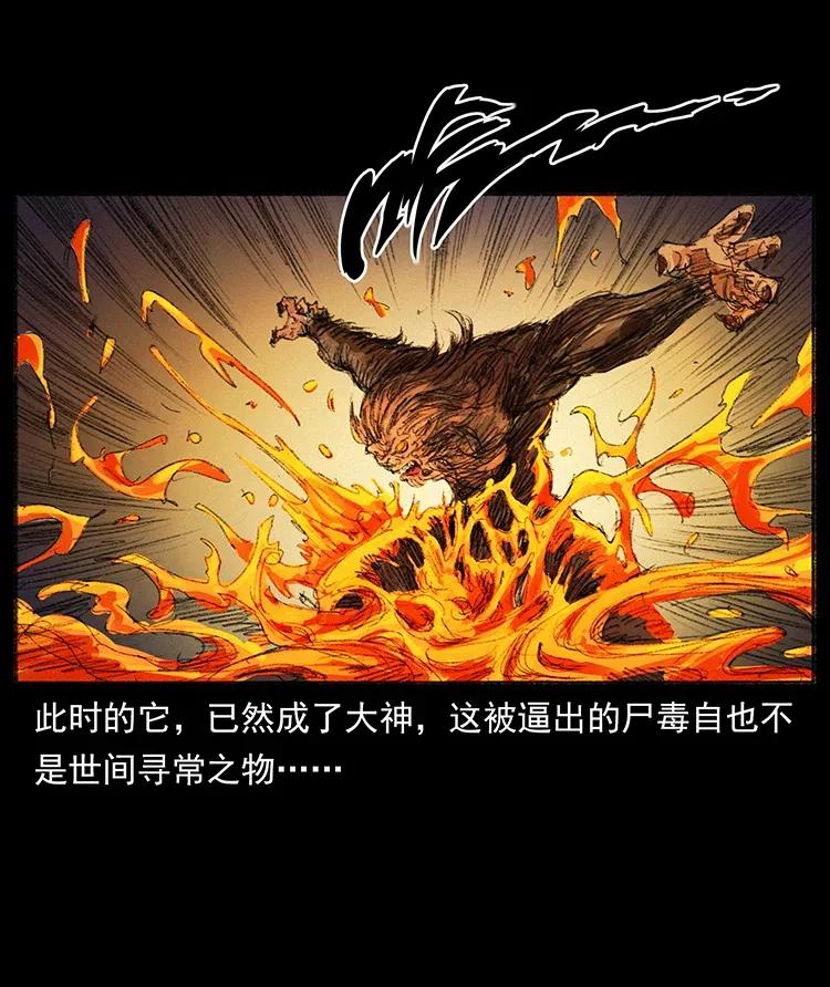 幽冥诡匠 368 上古尸毒 第64页