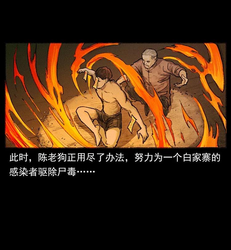 幽冥诡匠 368 上古尸毒 第44页