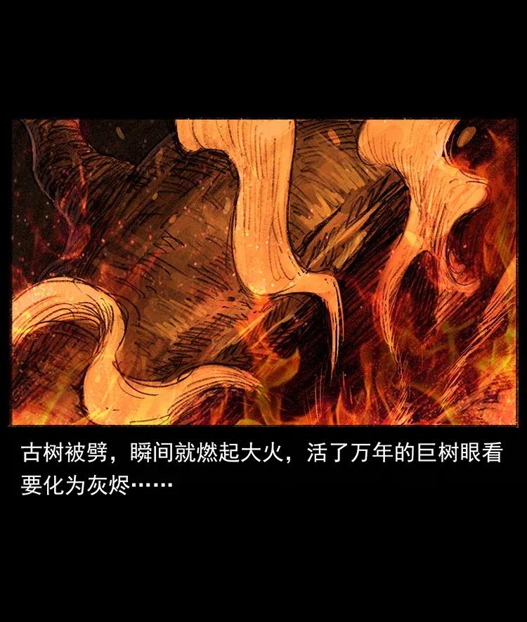 幽冥诡匠 368 上古尸毒 第85页