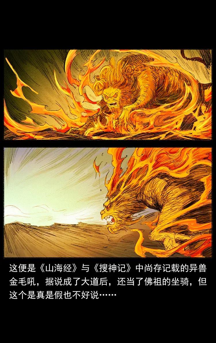 幽冥诡匠 368 上古尸毒 第67页