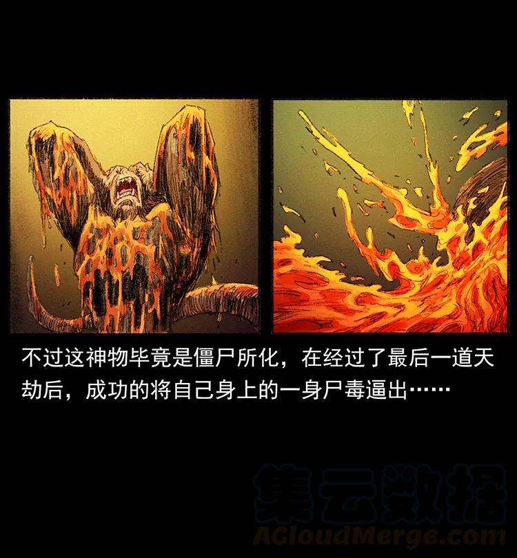 幽冥诡匠 368 上古尸毒 第63页