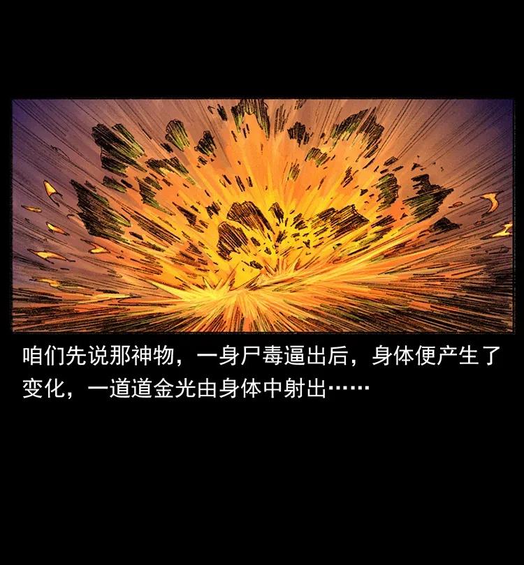 幽冥诡匠 368 上古尸毒 第65页