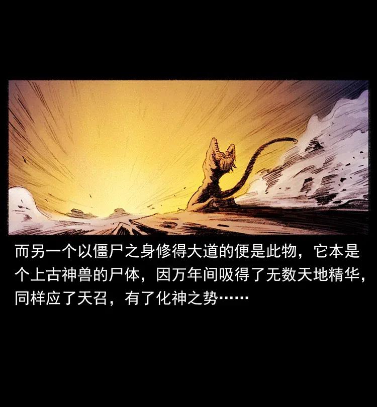 幽冥诡匠 368 上古尸毒 第62页