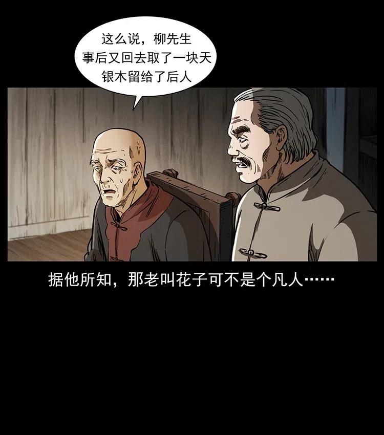 幽冥诡匠 369 以毒攻毒 第66页