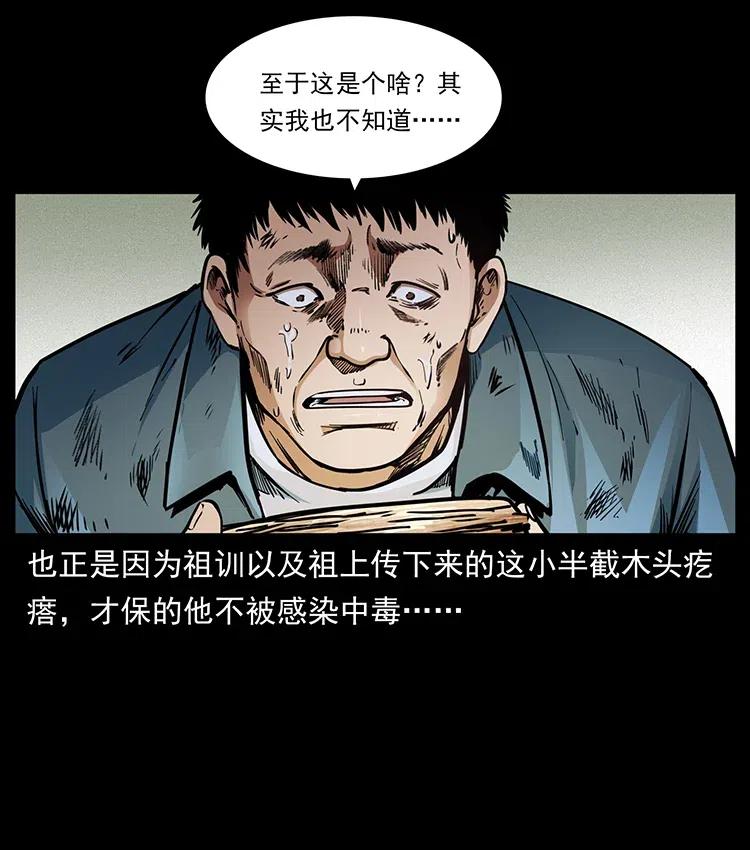 幽冥诡匠 369 以毒攻毒 第63页