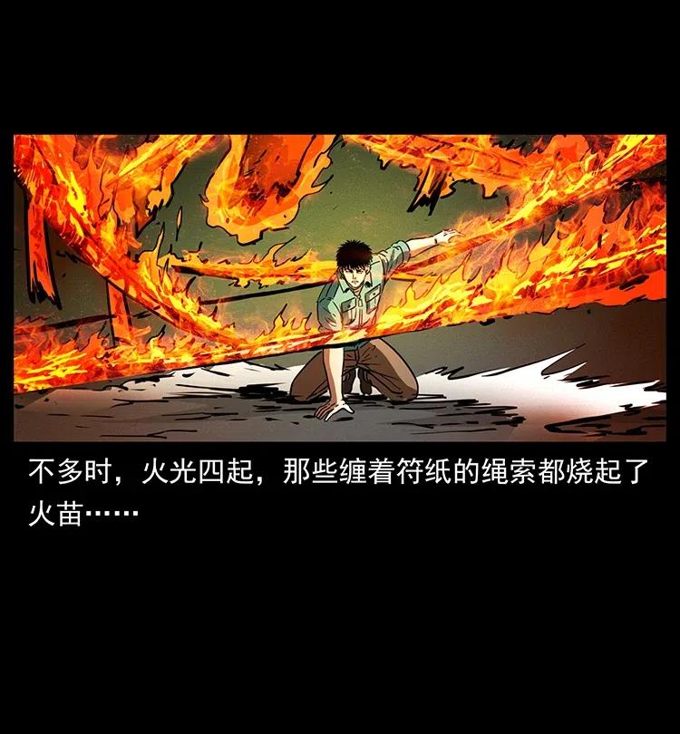 幽冥诡匠 370 乌翅凤凰 第38页