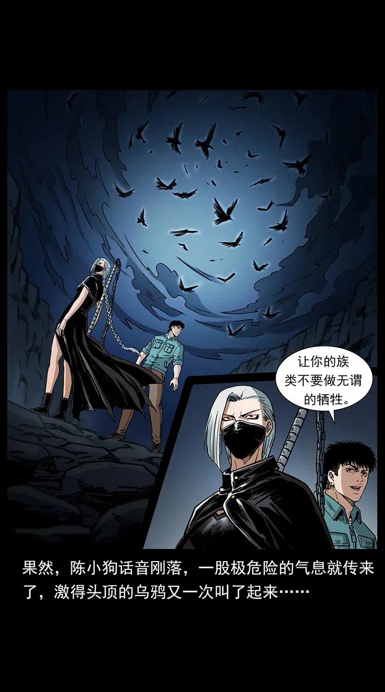 幽冥诡匠 370 乌翅凤凰 第74页
