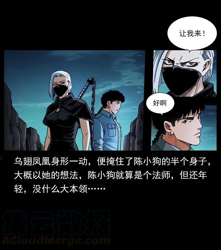 幽冥诡匠 370 乌翅凤凰 第79页