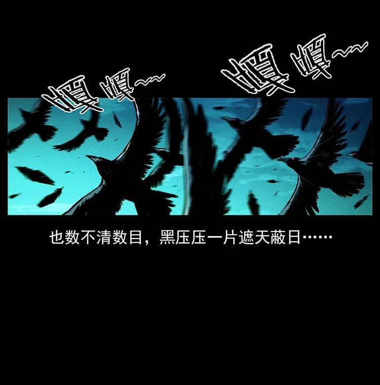 幽冥诡匠 370 乌翅凤凰 第47页