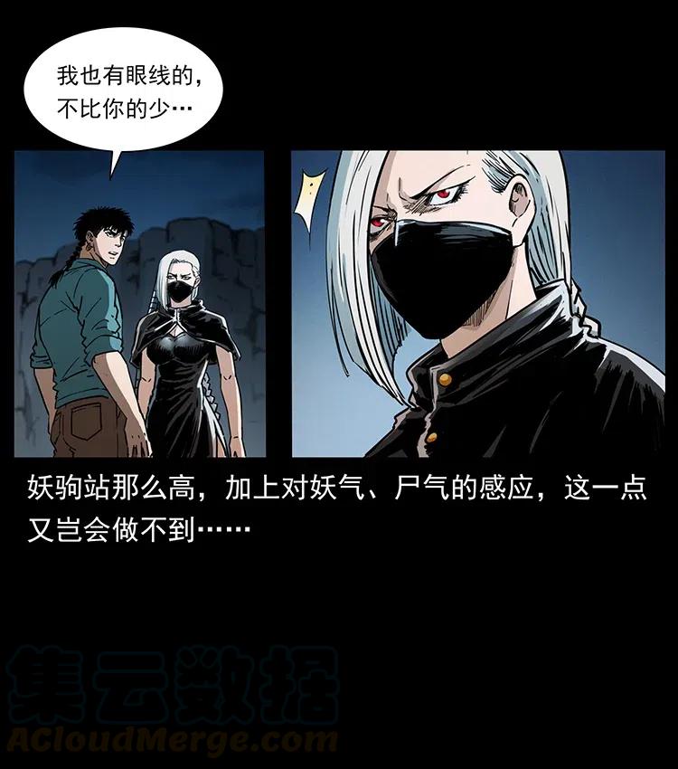 幽冥诡匠 370 乌翅凤凰 第73页