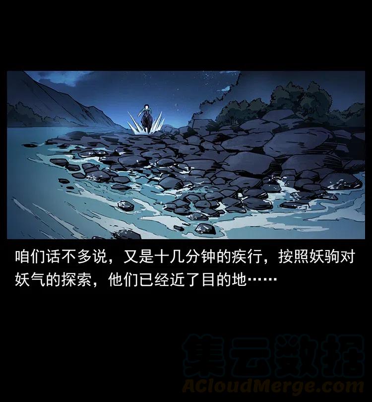 幽冥诡匠 370 乌翅凤凰 第22页