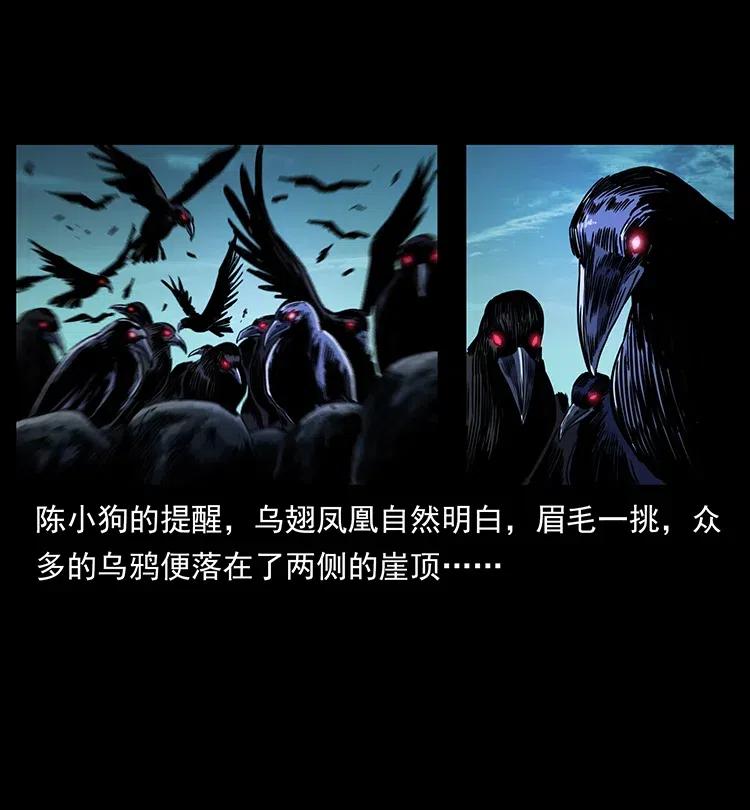幽冥诡匠 370 乌翅凤凰 第75页