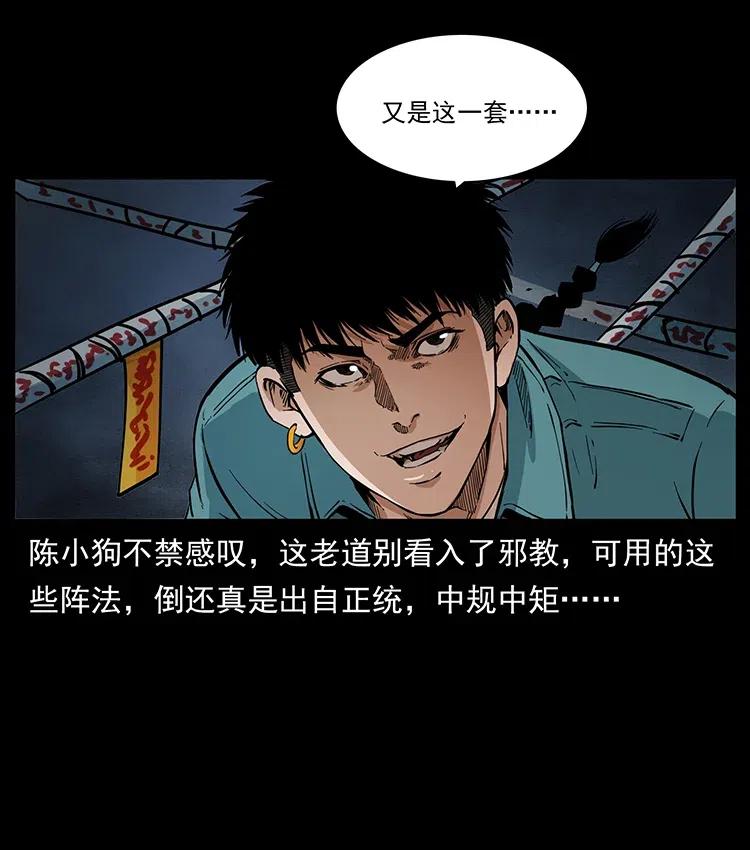 幽冥诡匠 370 乌翅凤凰 第30页