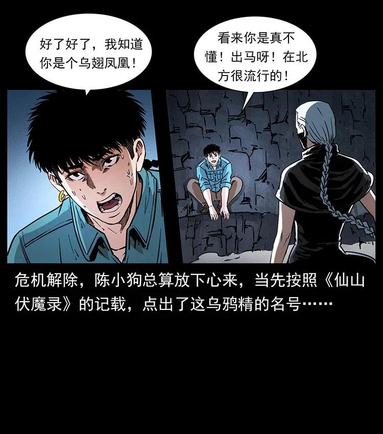 幽冥诡匠 370 乌翅凤凰 第65页