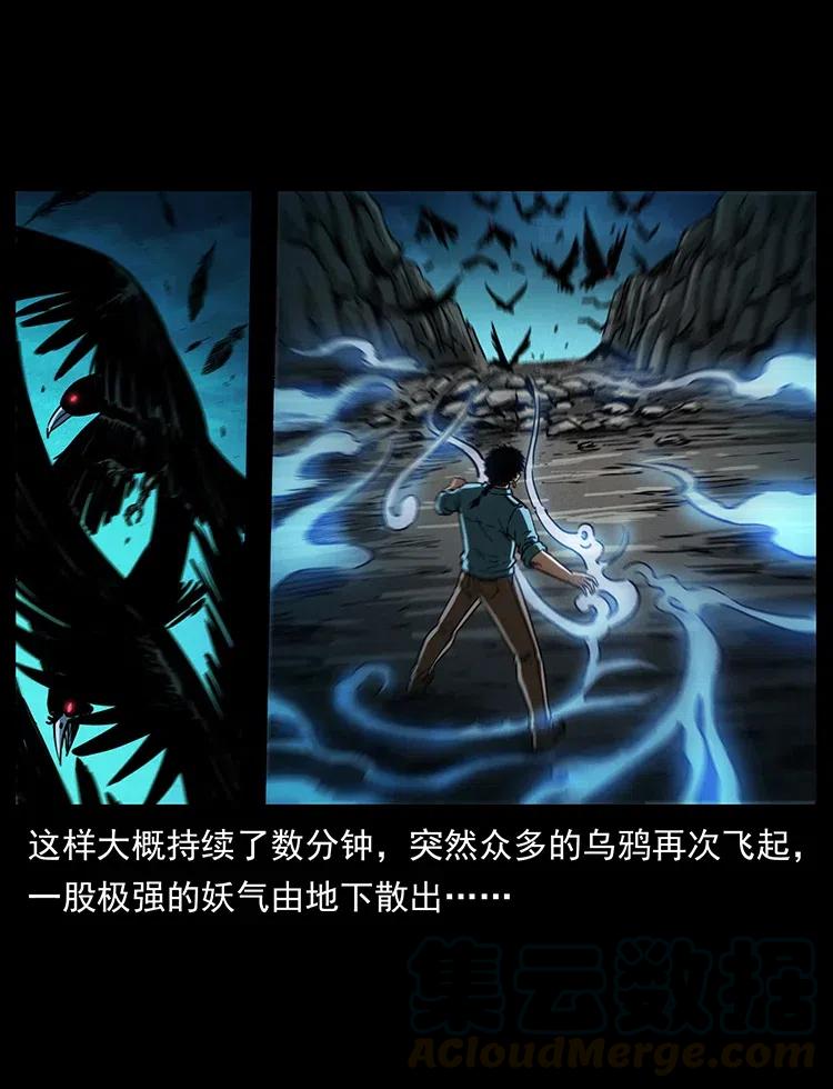 幽冥诡匠 370 乌翅凤凰 第49页