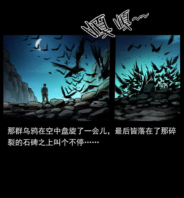 幽冥诡匠 370 乌翅凤凰 第48页