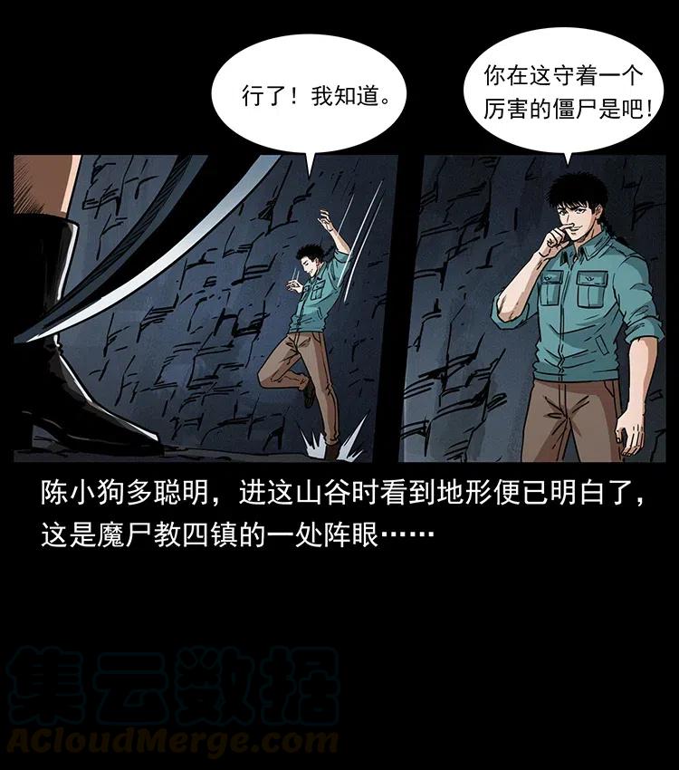 幽冥诡匠 370 乌翅凤凰 第70页