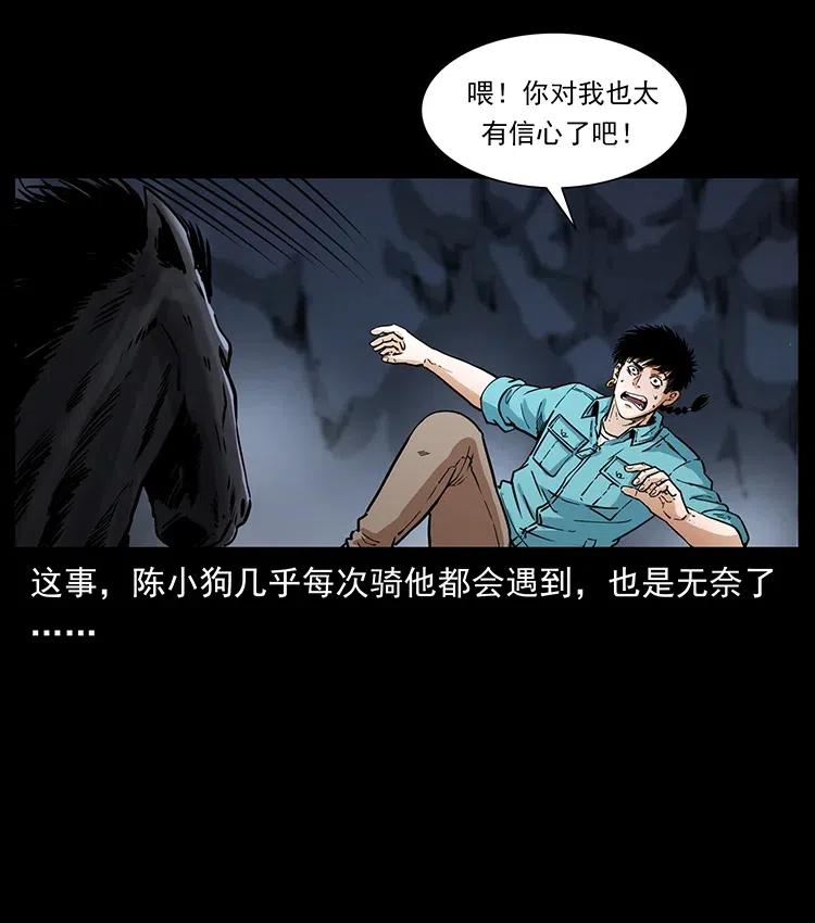 幽冥诡匠 370 乌翅凤凰 第24页