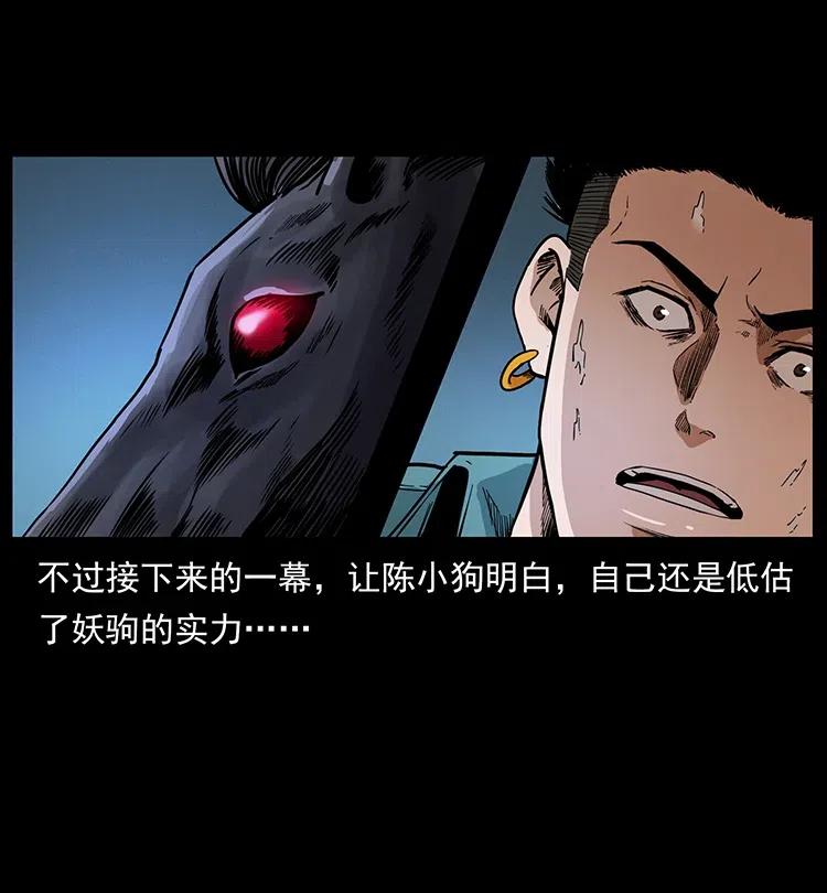 幽冥诡匠 370 乌翅凤凰 第17页