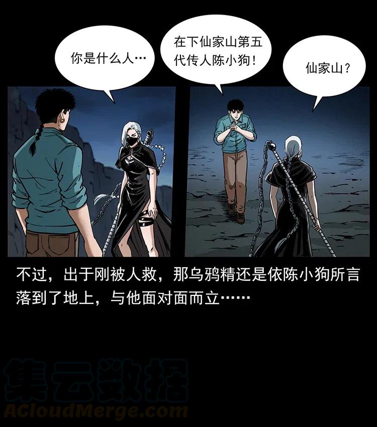 幽冥诡匠 370 乌翅凤凰 第55页