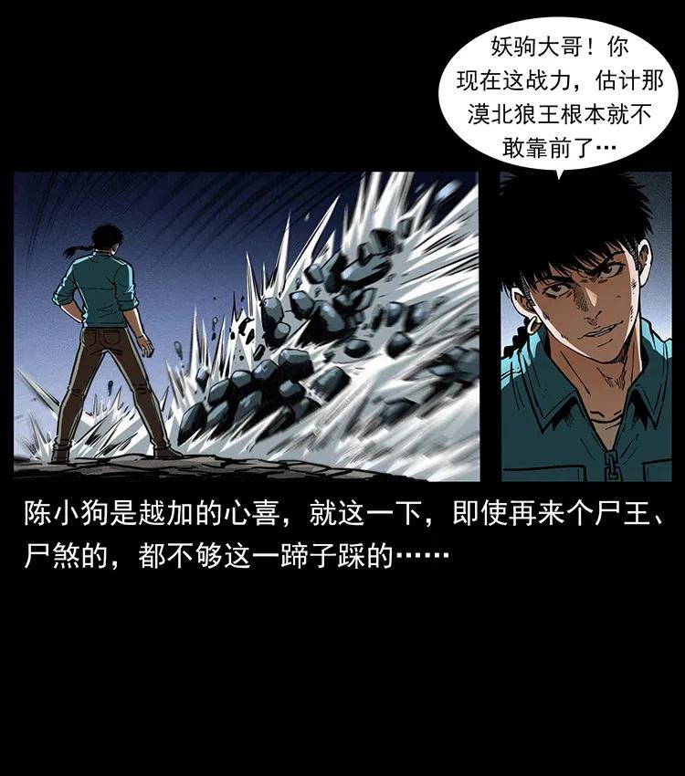 幽冥诡匠 370 乌翅凤凰 第44页
