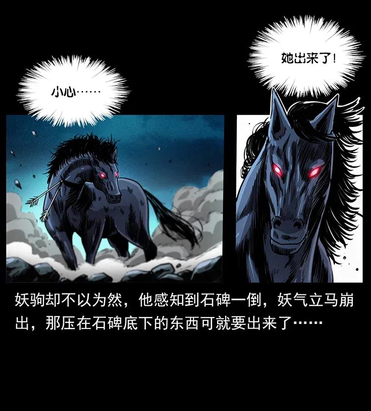 幽冥诡匠 370 乌翅凤凰 第45页