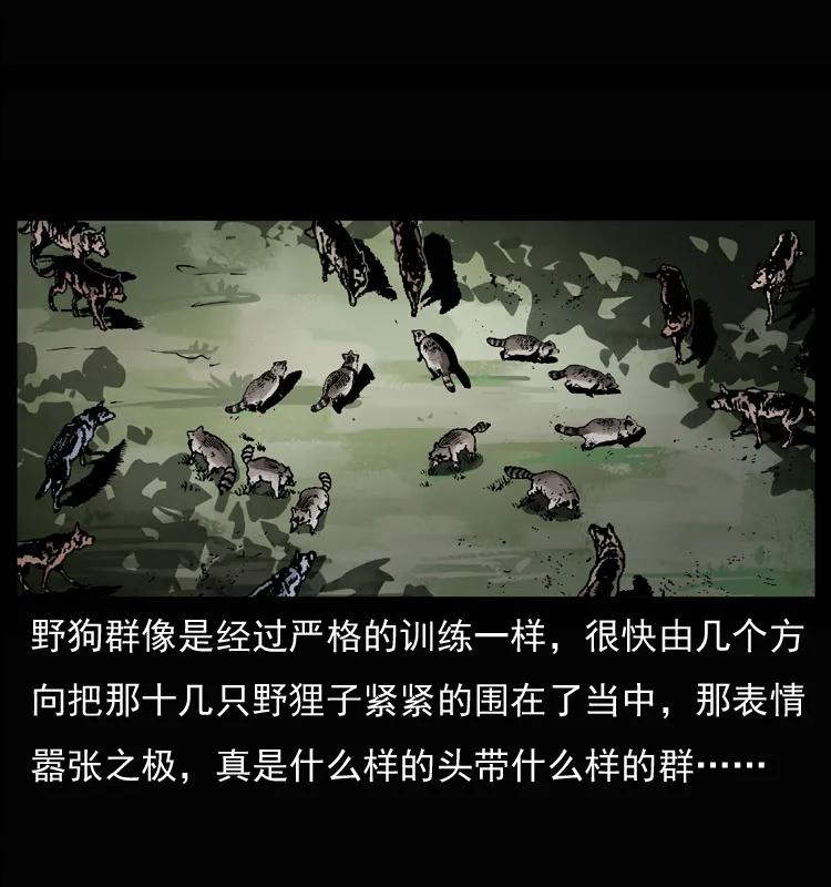 幽冥诡匠 037 百雀丹（下） 第12页
