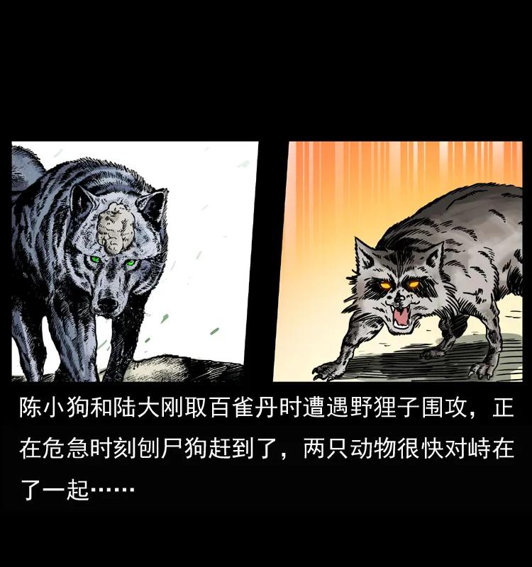 幽冥诡匠 037 百雀丹（下） 第2页
