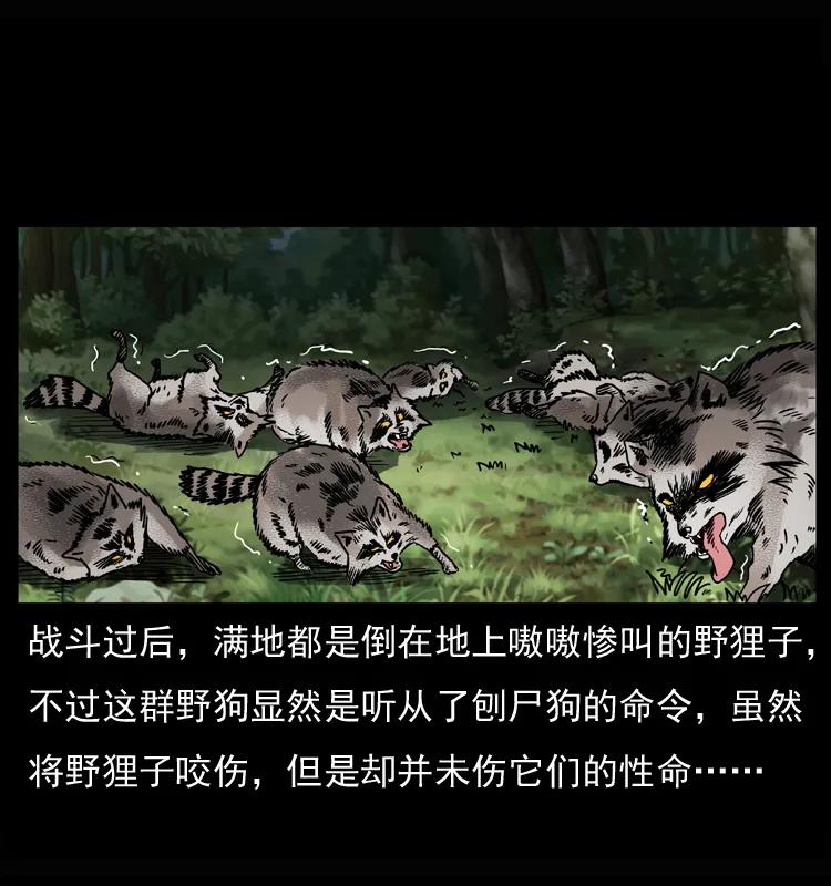 幽冥诡匠 037 百雀丹（下） 第19页