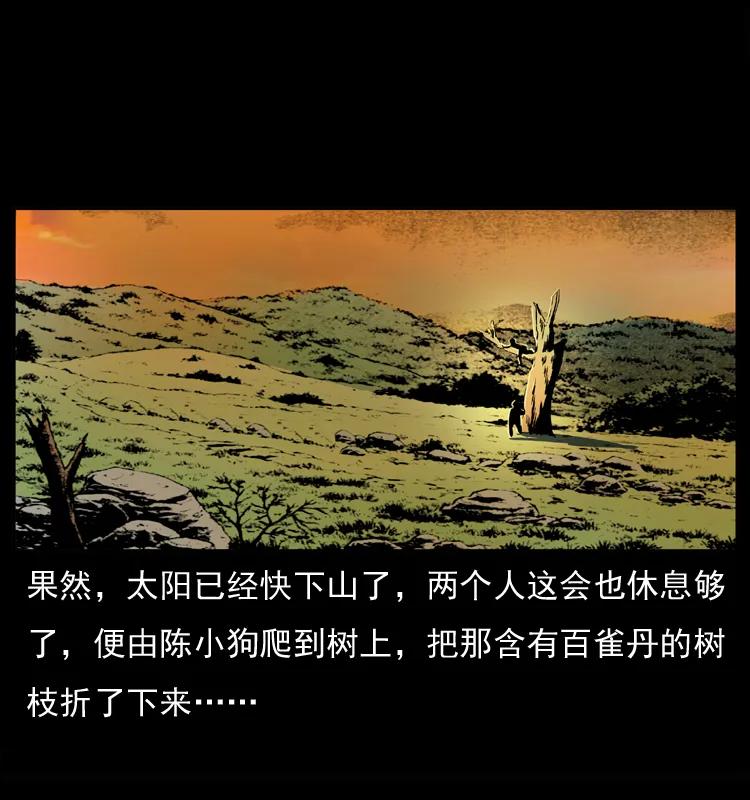幽冥诡匠 037 百雀丹（下） 第40页