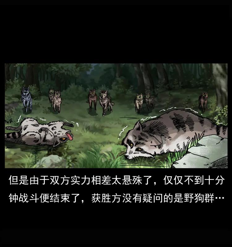 幽冥诡匠 037 百雀丹（下） 第18页