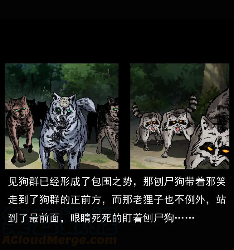 幽冥诡匠 037 百雀丹（下） 第13页