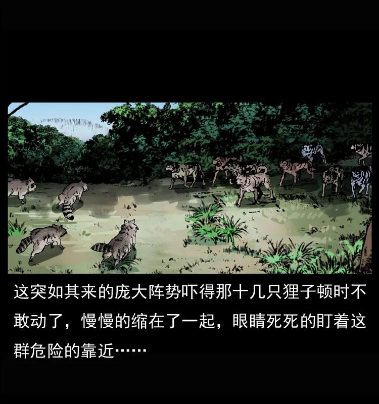 幽冥诡匠 037 百雀丹（下） 第11页