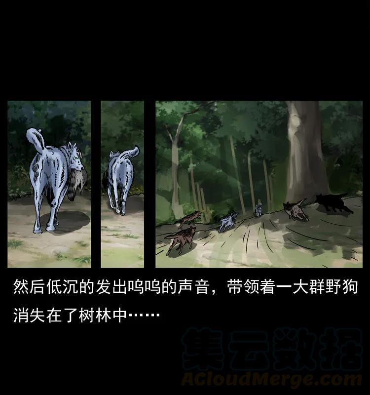 幽冥诡匠 037 百雀丹（下） 第29页