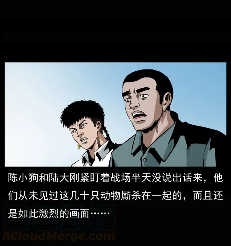 幽冥诡匠 037 百雀丹（下） 第17页