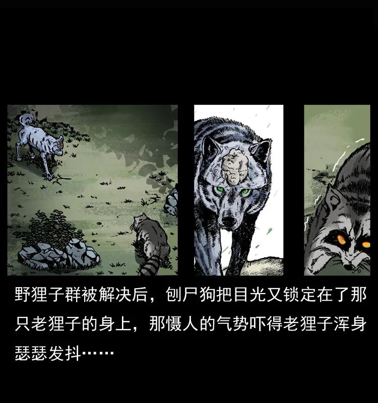 幽冥诡匠 037 百雀丹（下） 第20页