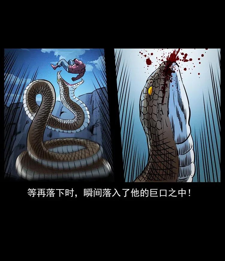 幽冥诡匠 372 天击雷尸 第71页