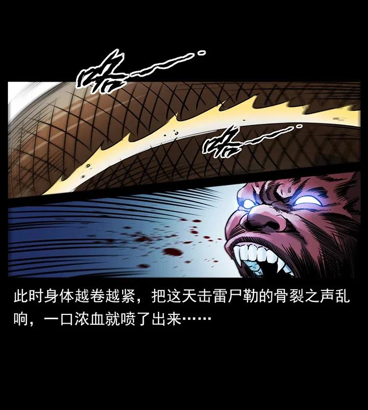 幽冥诡匠 372 天击雷尸 第68页