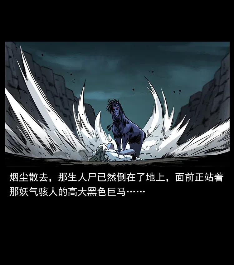 幽冥诡匠 372 天击雷尸 第9页