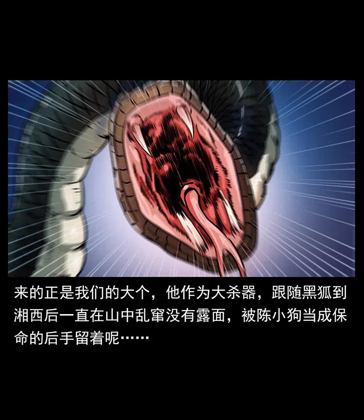 幽冥诡匠 372 天击雷尸 第62页