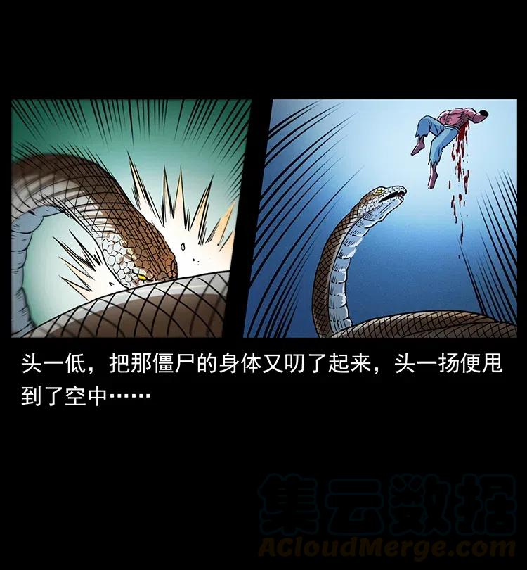 幽冥诡匠 372 天击雷尸 第70页