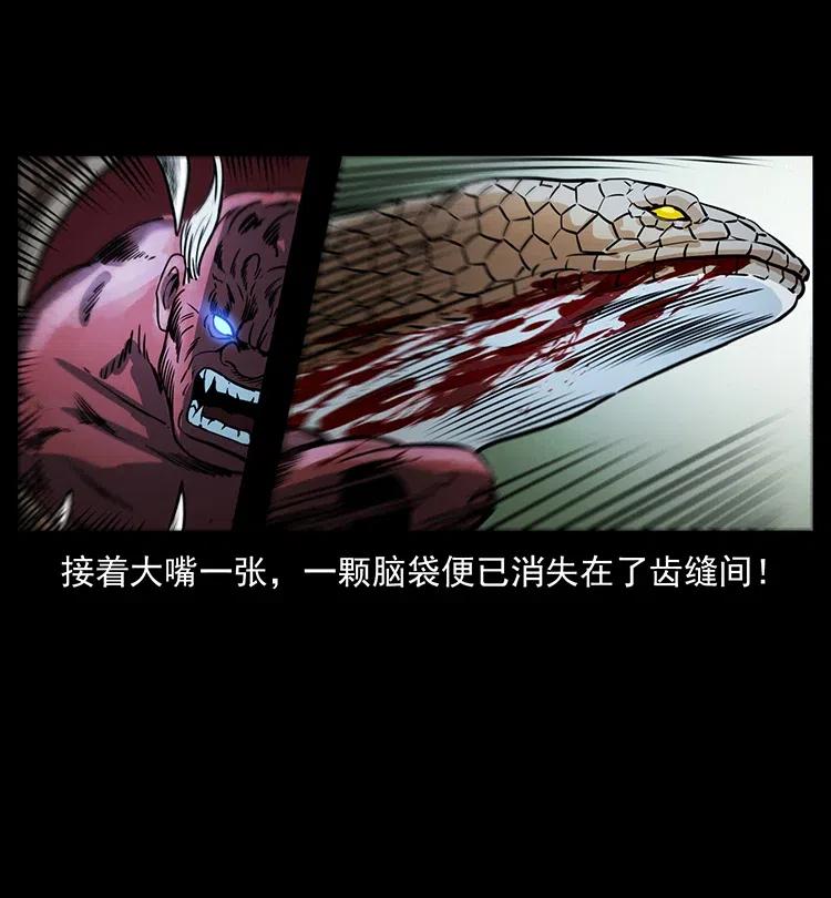 幽冥诡匠 372 天击雷尸 第69页